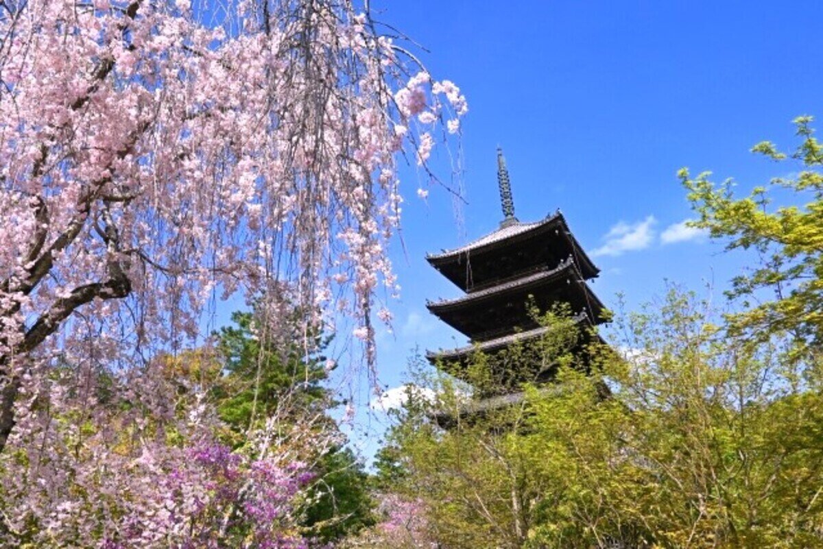 ⛩️ 교념사 (쿄넨지)